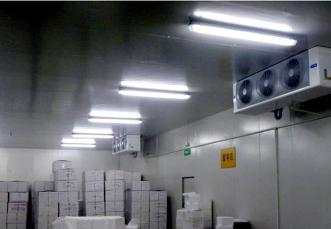 Tea Garden Drug Cold Storage in Nan'an District, Chongqing (Figure 3)