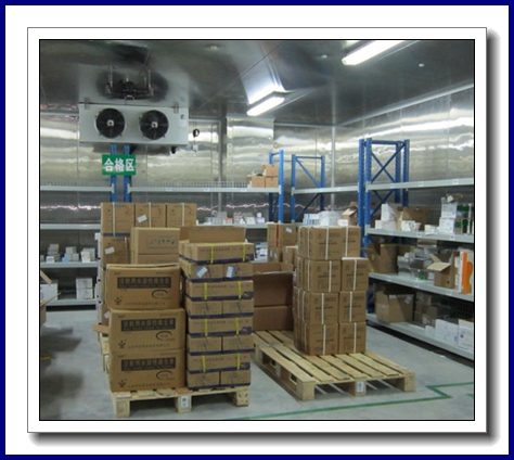 Chongqing Leyou Delivery Supply Chain Management Co., Ltd. - Drug Cold Storage (Figure 3)