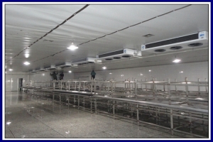 Guangyuan Longzhouyuan Food Company - Factory Cooling