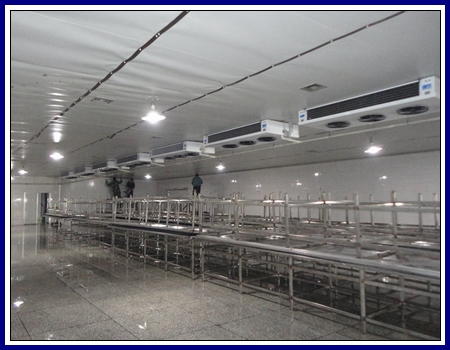 Guangyuan Longzhouyuan Food Co., Ltd. - Factory Cooling Room (Figure 1)