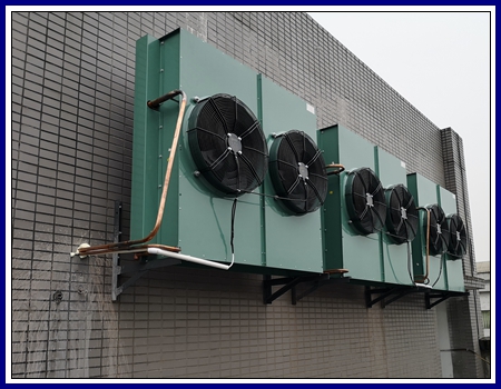 Guangyuan Longzhouyuan Food Co., Ltd. - Factory Cooling Room (Figure 2)