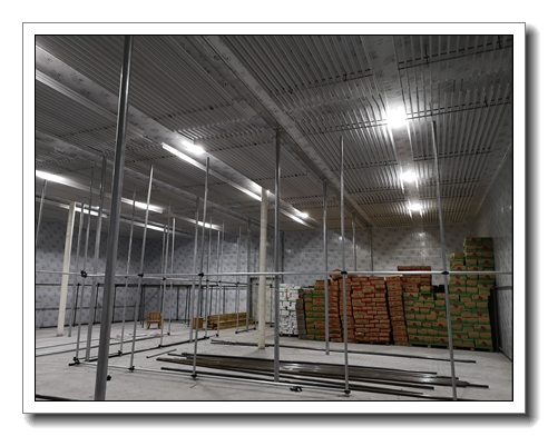 Panzhihua Renhe County - Food Frozen Warehouse (Figure 2)