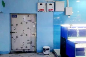 Cost of Guizhou Daozhen Supermarket Dual Temperature Cold Storage